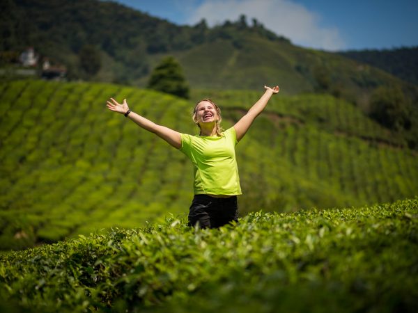 _MG_1611 _MG_1611